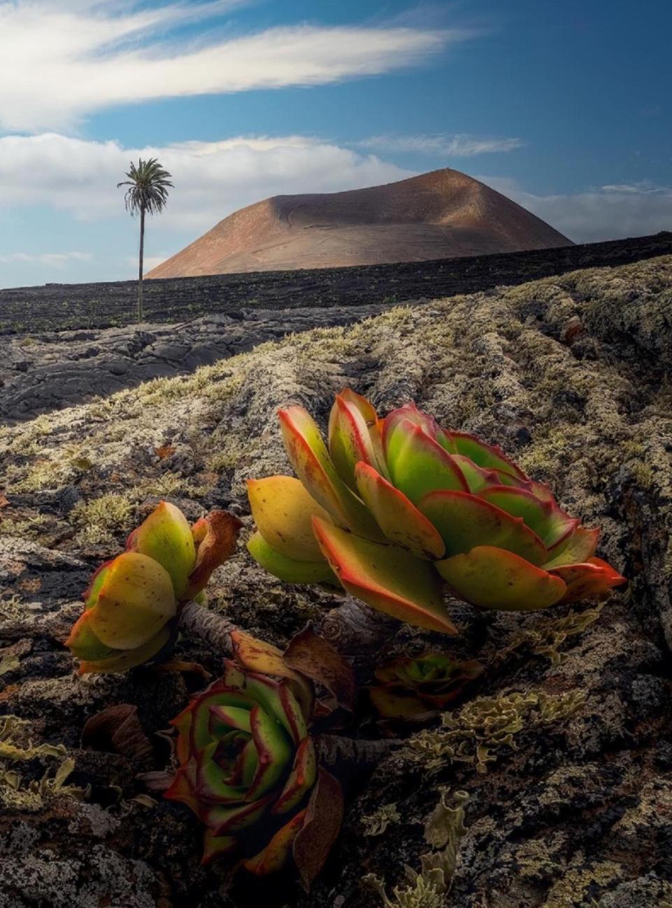 Lanzarote Casa Volcanica-Anclada Sobre La Lava Del Volcan Montana Blanca Екстер'єр фото